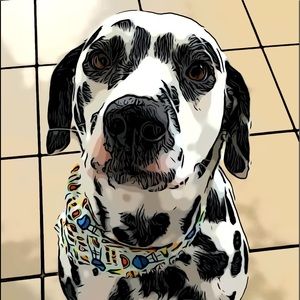 Meet your Posher, Kate